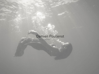 Détails : Damien Poullenot