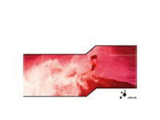 Détails :  ION BODYBOARDS 