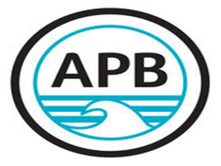 Détails : APB World Bodyboarding Tour