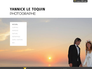 Détails : Yannick LE TOQUIN